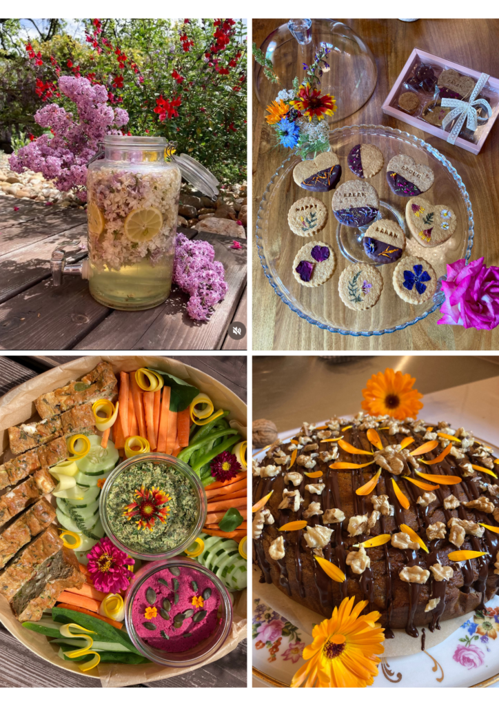 patisserie vegan sans gluten sans lactose bio locale, boisson fermentée sans alcool, plateau buffet repas apéritif, biscuit floral personnalise,mariage événement,pour particulier et professionnel
